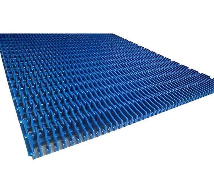 Plastic Chain Modular Belt